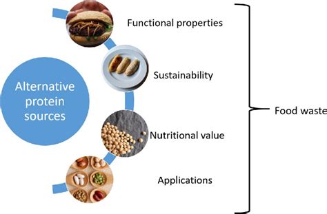  Quinoa-Protein: Eine nachhaltige Alternative für die Lebensmittelindustrie der Zukunft?